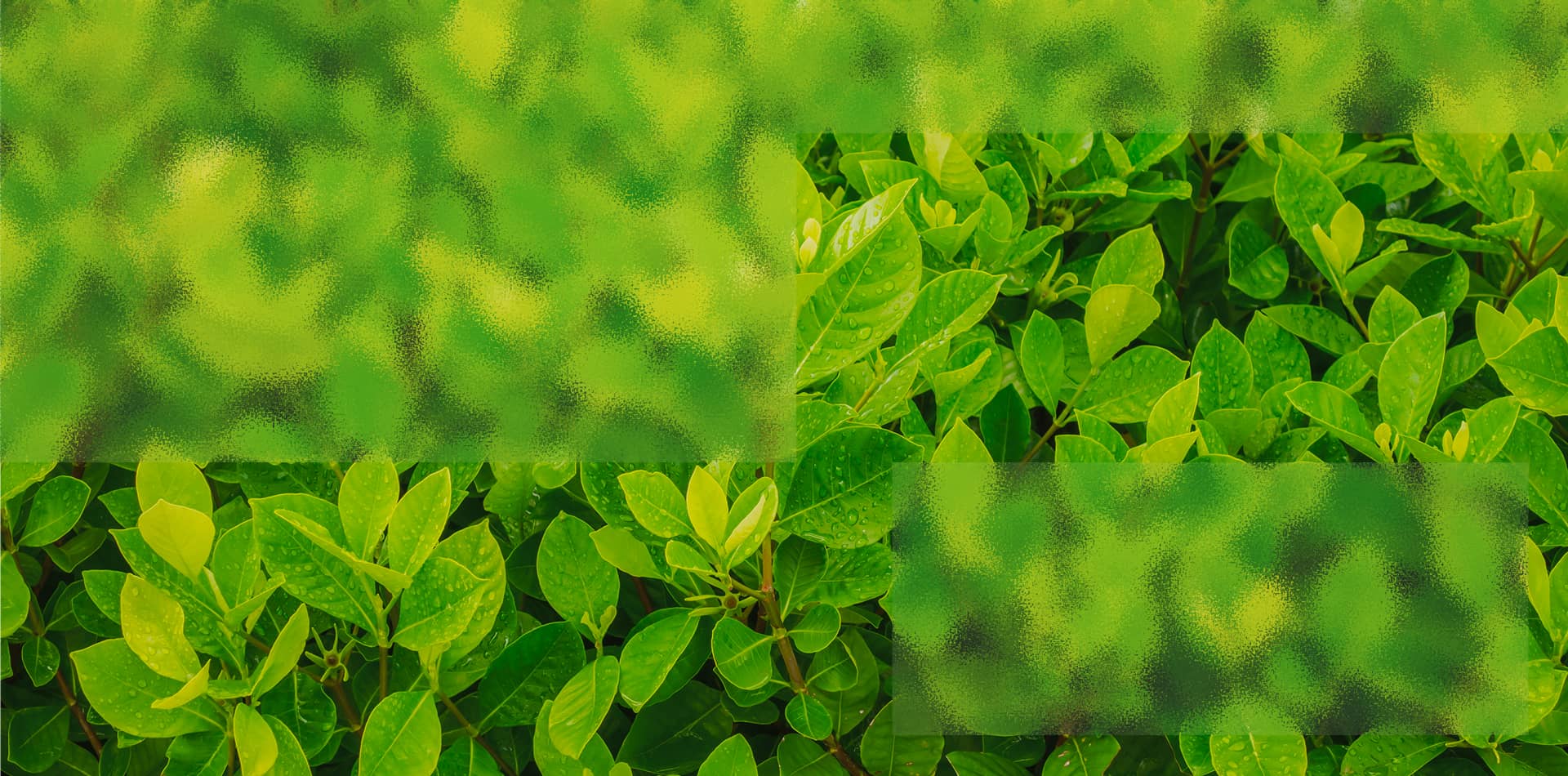 Фоновое изображение